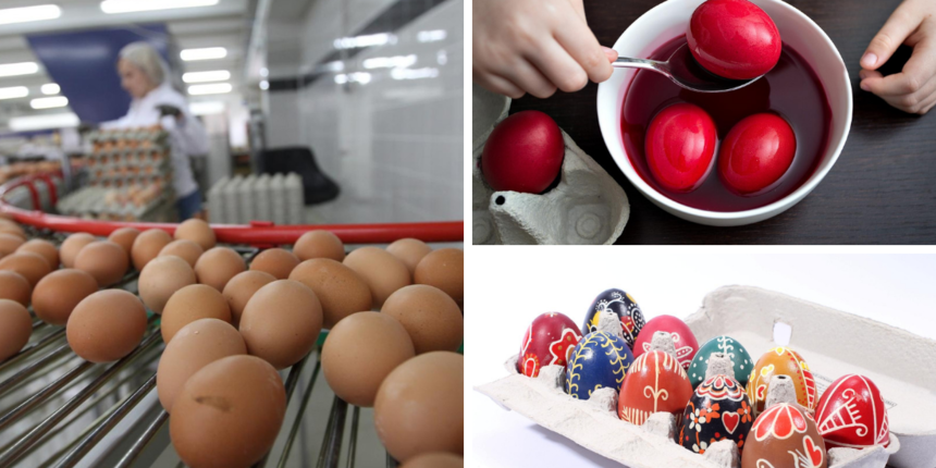  Savjeti za pripremu pisanica: Znate li kako prepoznati je li jaje svježe i na što treba paziti kod bojanja? 