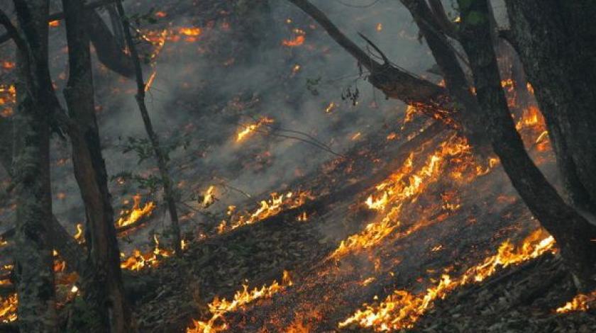 Livno: 68-godišnjak palio suhu travu pa zapalio susjedov objekt