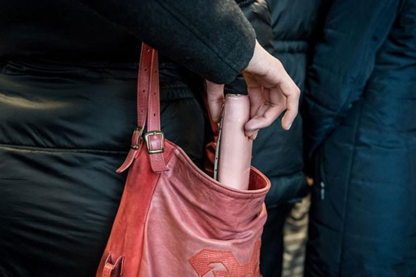 pravobraniteljstvo,Republika Srpska,Banja luka,krađa,džeparošice,Njemačka,policija