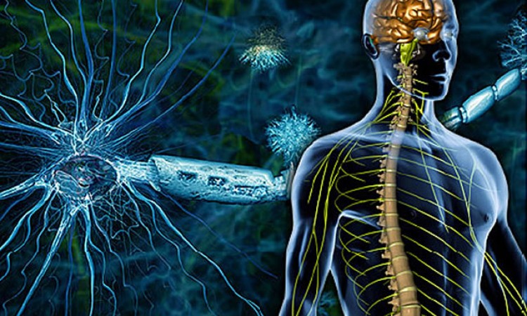 Obilježavanje Dana multiple skleroze 'Da li za liječenje treba jackpot?'