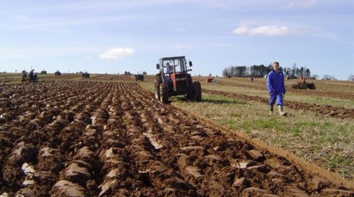 BIH, statistika, katastar, poljoprivreda, BiH poljoprivreda,  Ivan Jozić, Seljački savez FBiH