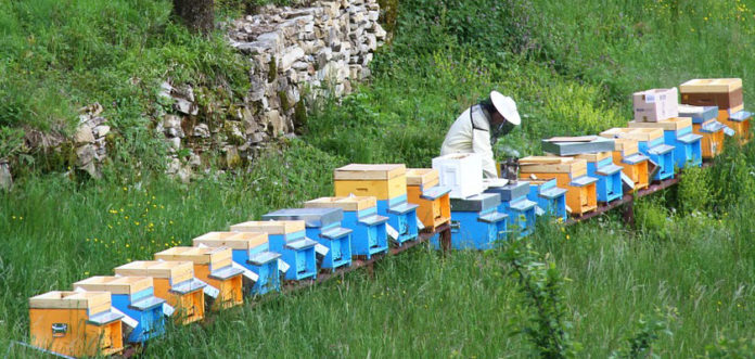 kongres, pčelarstvo, promicanja pčelarstva