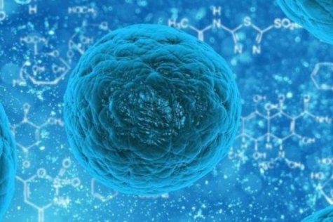 bakterije, bbc, svijet oko nas, bolnica