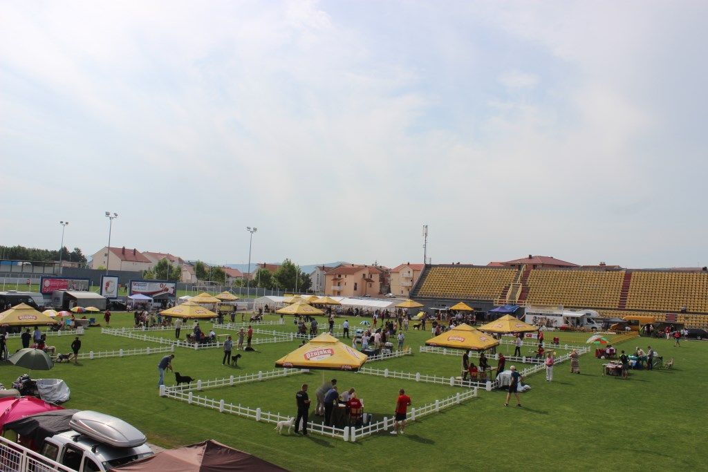 Posušje, izložba pasa, psi, zabava