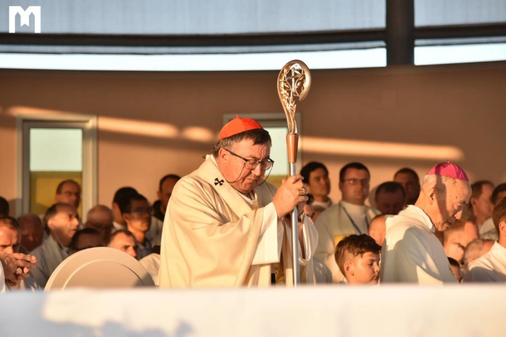 Kardinal Vinko Puljić, Mladifest