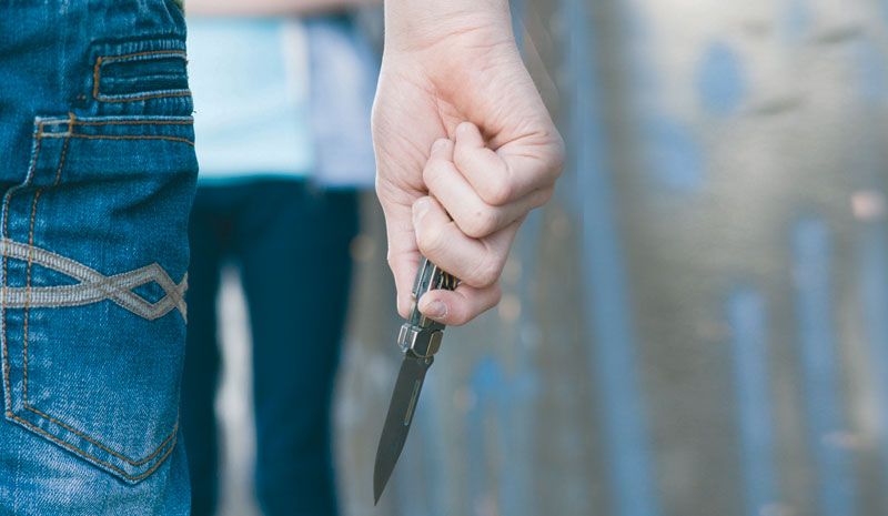 crna kronika, Beč, napad, Policijski dužnosnici, napad nožem