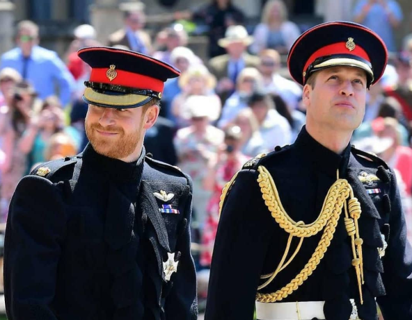 prinčevi , princ Harry, princ William