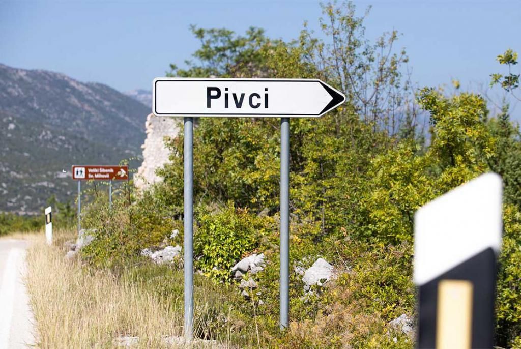 braća pivac