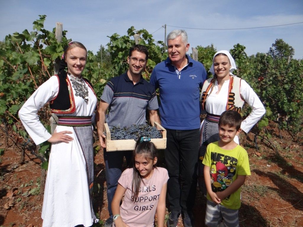 HDZ BiH, Čitluk, Dani berbe grožđa