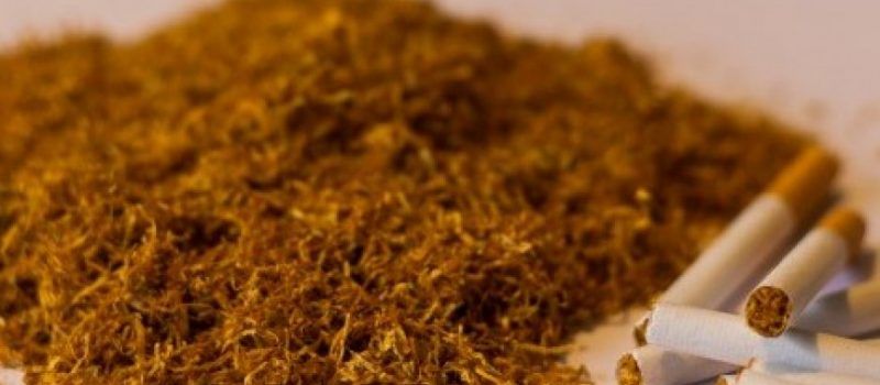 optužnica, duhan, širokobriježanin