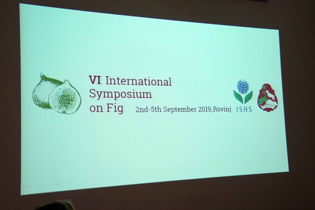 Marko Ivanković, Hercegovina, Federalni agromediteranski zavod, smokva