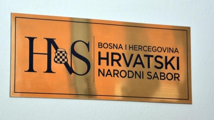 HNS BiH, HNS BiH, HNS, izbori