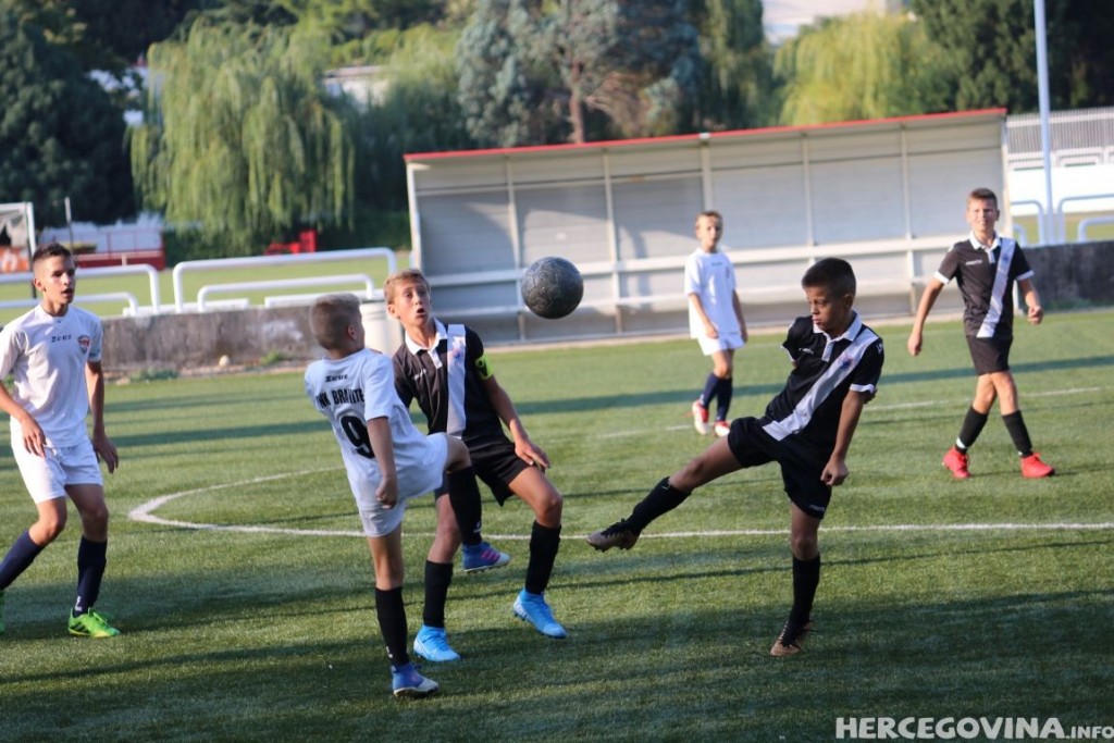 Predpioniri Zrinjski Branitelj