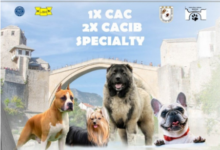 izložba pasa, Mostar