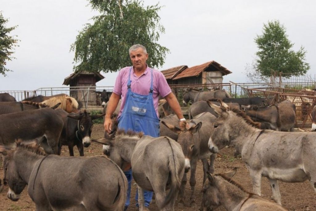 poljoprivrednik , magarci