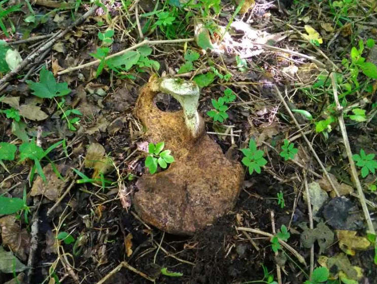 posmrtni ostaci, ekshumacija