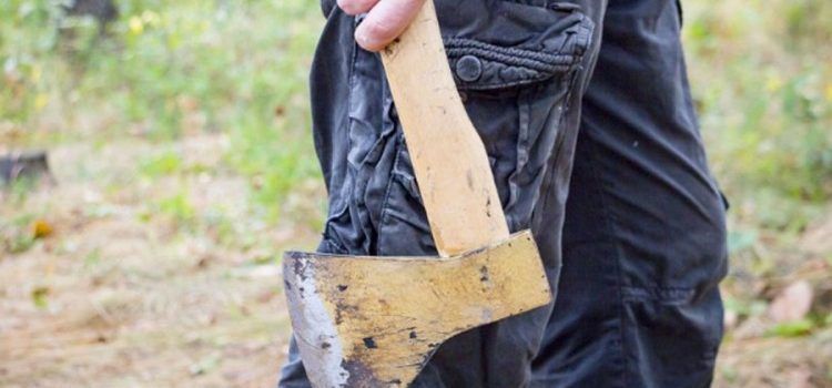 tučnjava, sjekira, napad na službenu osobu, sjekira