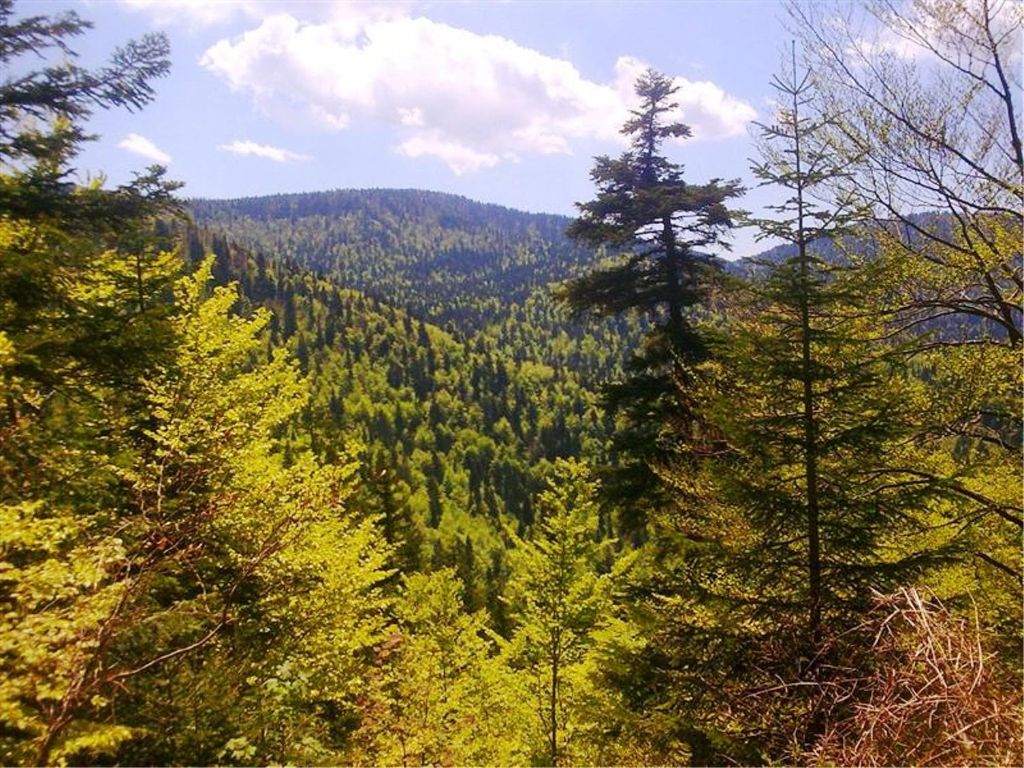 skupština ŠGD, izvanredna sjednica