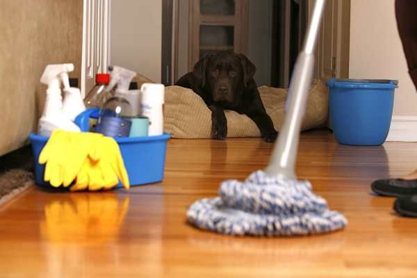 kućanski poslovi, ljubav, čišćenje