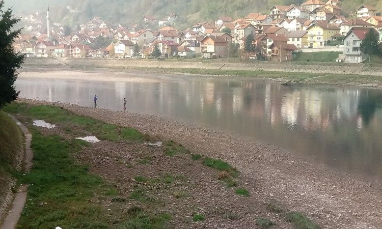 rijeka drina, riba