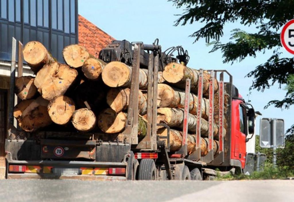 nelegalno, prevozili drva