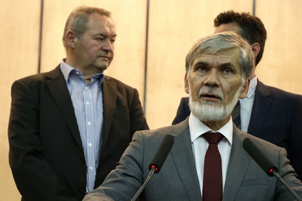 plin, ekonomija, nermin džindić