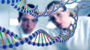 Udruženje genetičara, Sarajevo, skup