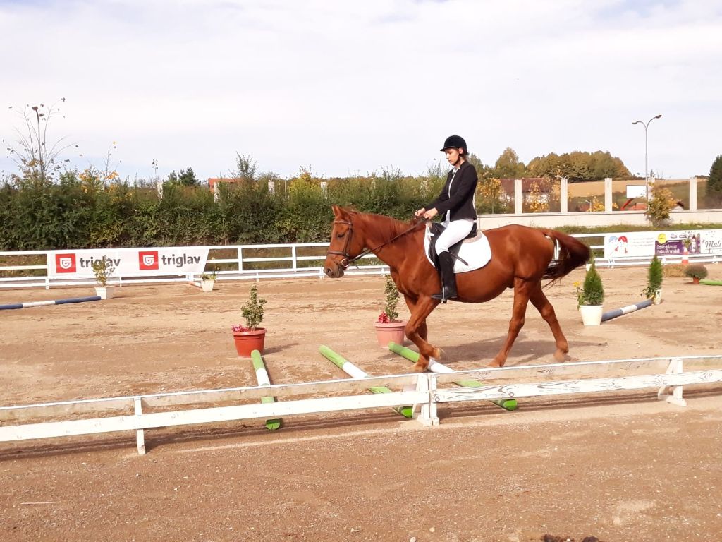 Anđela Pralas, učenica, terapijsko jahanje, parakonjaništvo