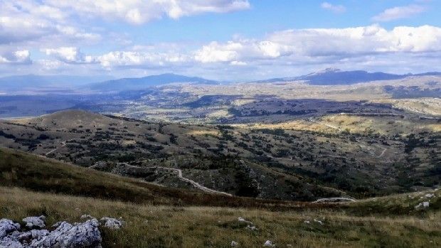 šumarija, Livno, radnici