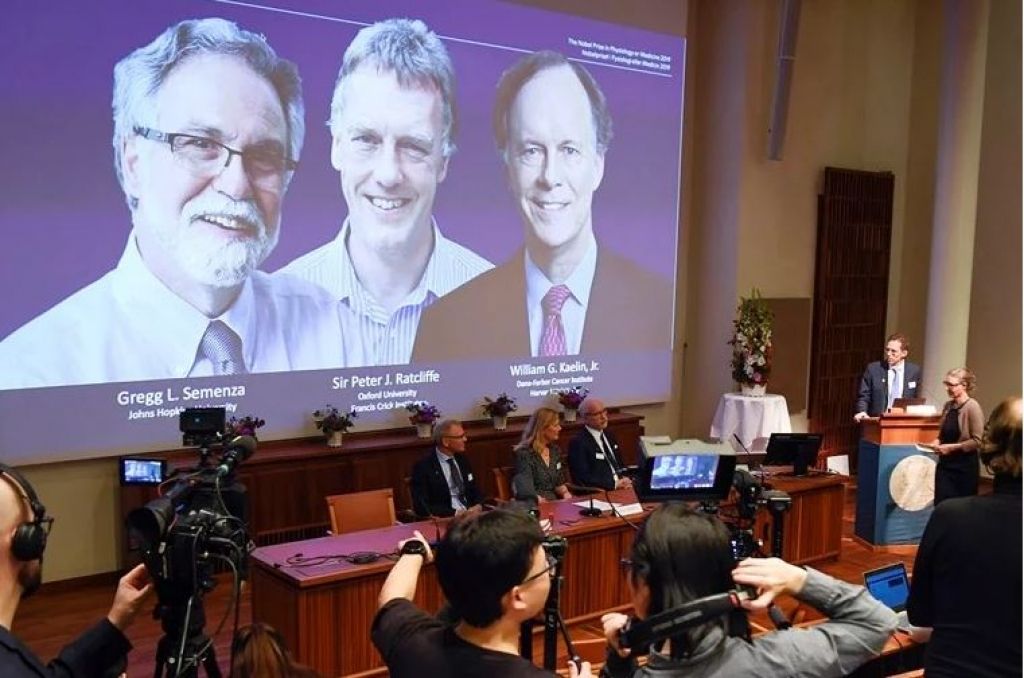 nobelova nagrada, medicina