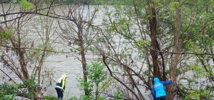 tijelo, željko pandžić, Drina