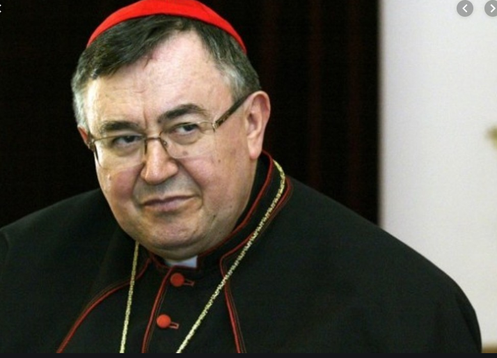 Kardinal Vinko Puljić, intervju, K. Perić