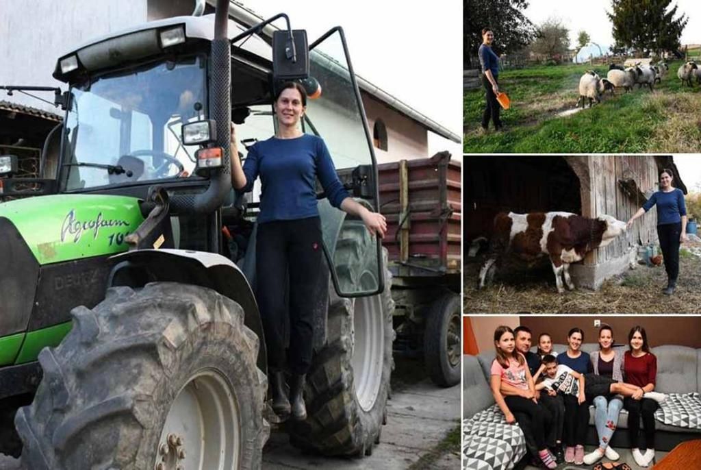 obiteljski posao, selo