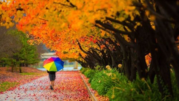 kreativni ljudi, vrijeme, BIH, vrijeme, BIH, lijepo vrijeme