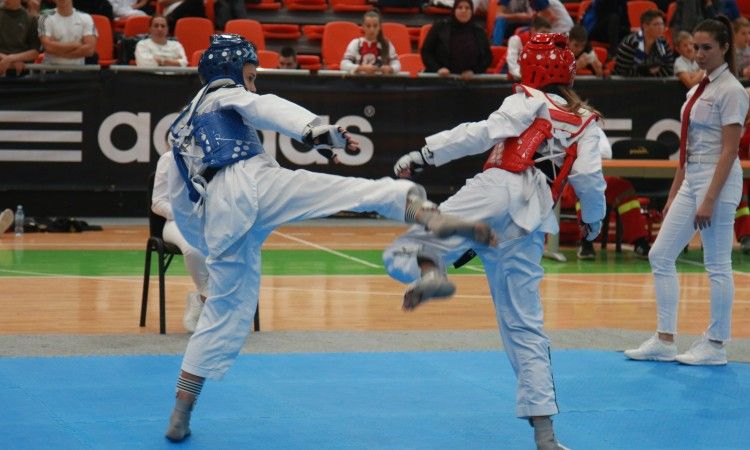 taekwondo, Taekwondo savez BiH