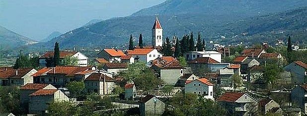 obiteljska tragedija, zmijavci 