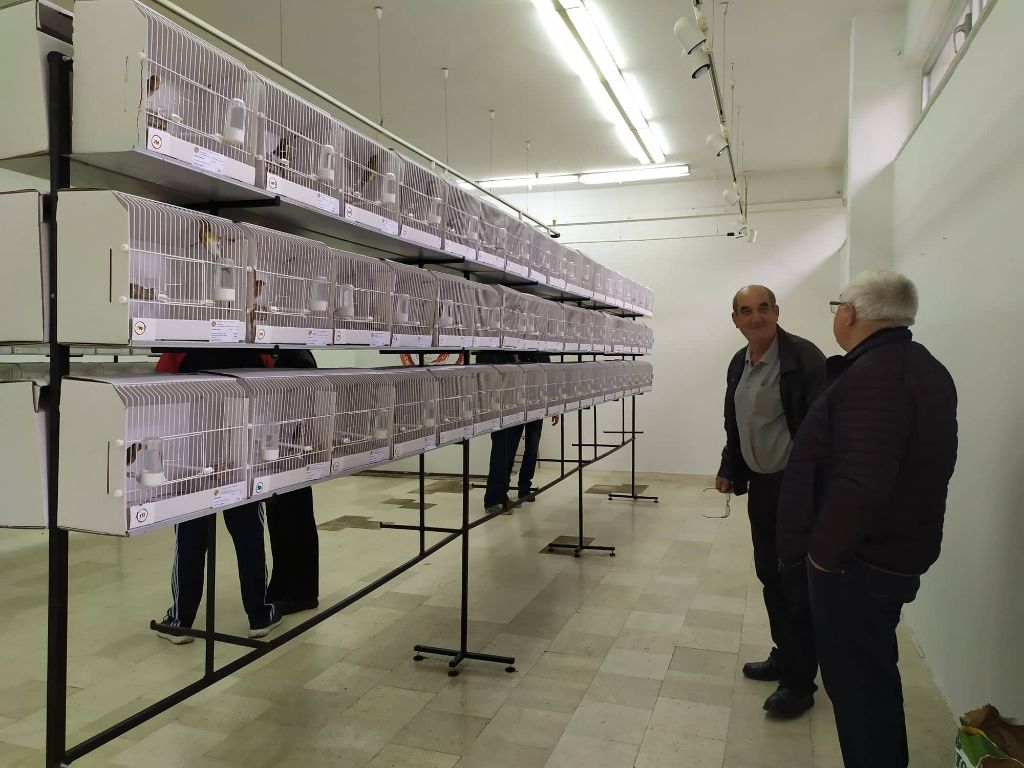 Prva ornitološka izložba ptica u Mostaru