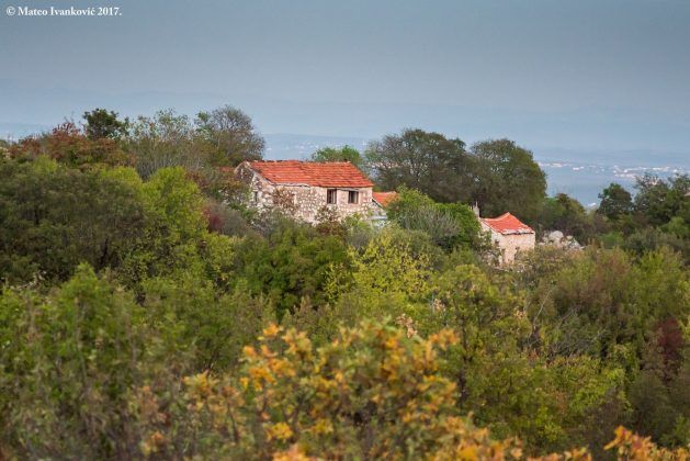 Velimir Velo Raspudić , Hercegovina
