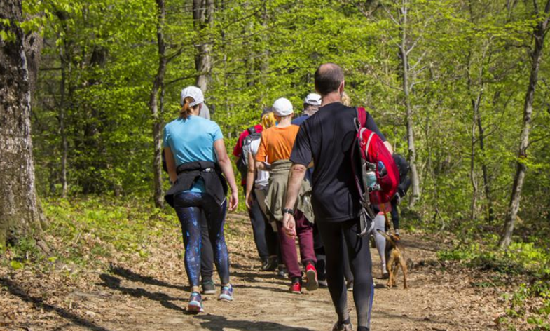 pješačenje, zdravlje