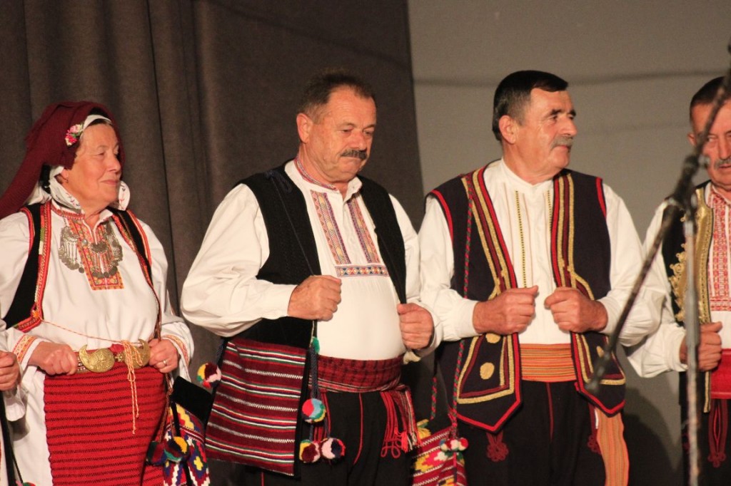 HKUD Hercegovac, koncert, kino Borak