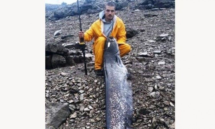 bilećko jezero, som