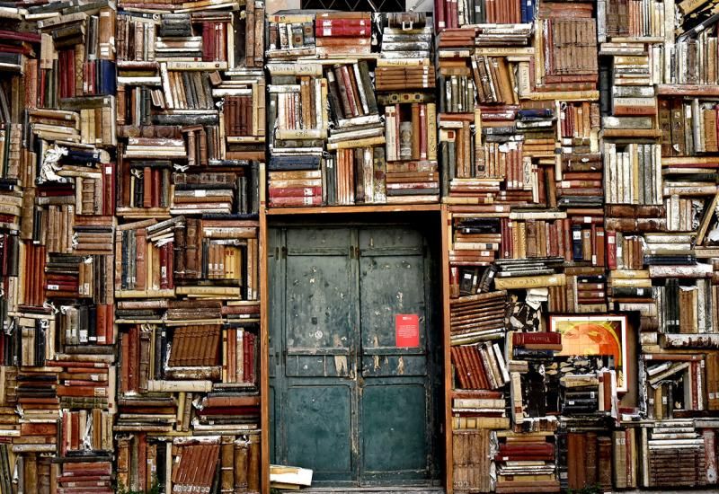 knjižnica Filip Višnjić