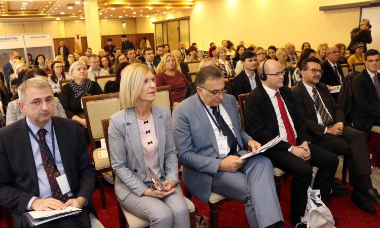 damir ljubić, obrazovanje