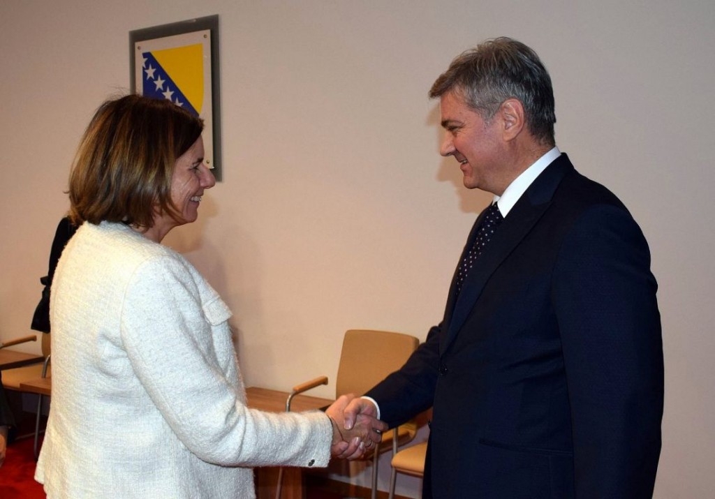 Denis Zvizdić, kraljevina švedska