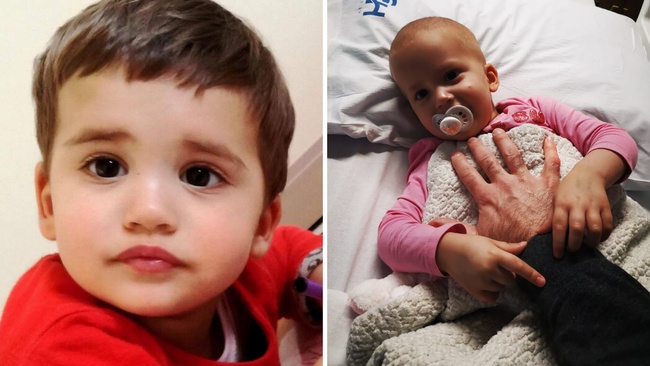 mila rončević, koštana srž, SAD