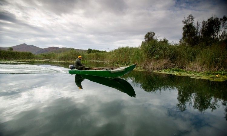 Hutovo blato, park prirode