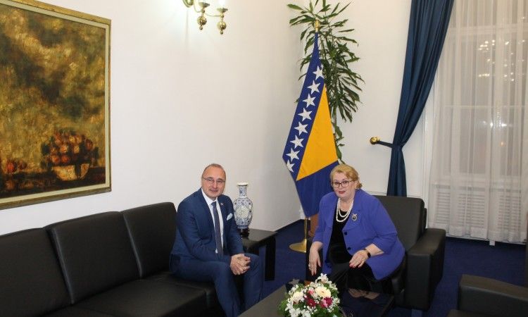 Gordan Grlić Radman, BIH, Bisera Turković, Ministarstvo vanjskih poslova BiH