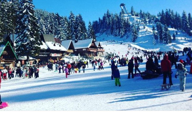 prevara, internet, iznajmljivanje