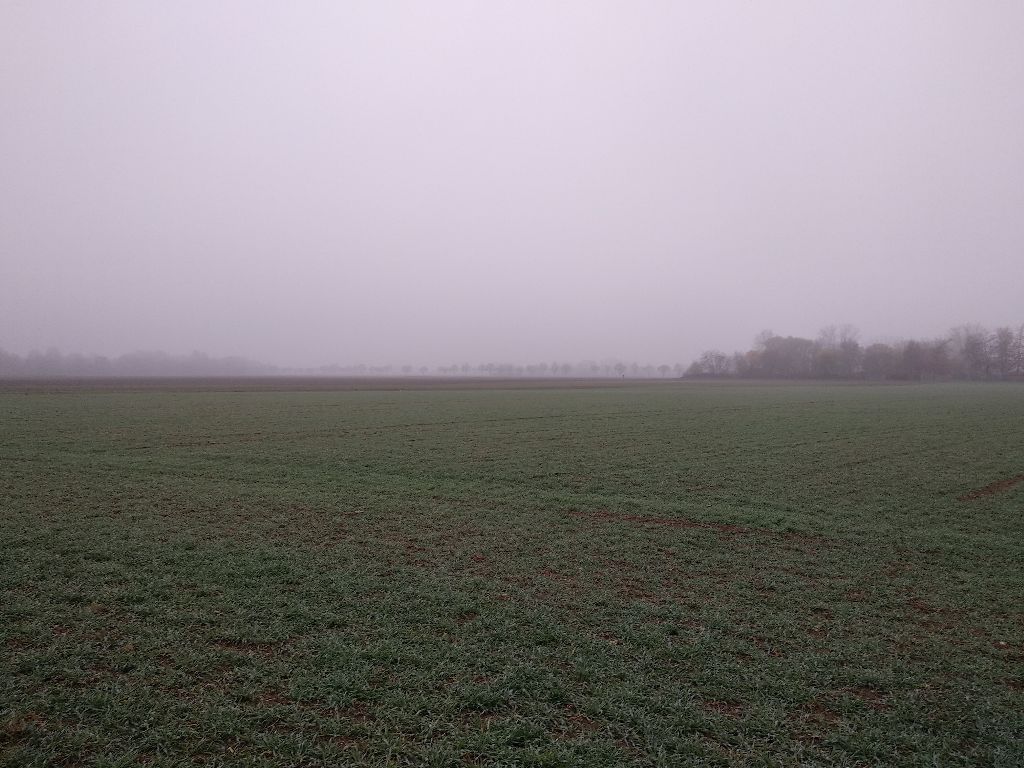 hercegovac, Njemačka, iskustvo, rad, život