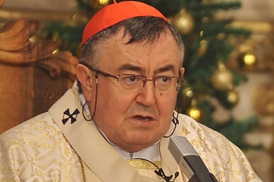 vrhbosanski nadbiskup kardinal Vinko Puljić, poziv, duhovna obnova, Sarajevo, kardinal, Vinko Puljić, duhovna obnova, Kardinal Vinko Puljić, Sarajevo, novogodišnja misa, Svjetski dan mira